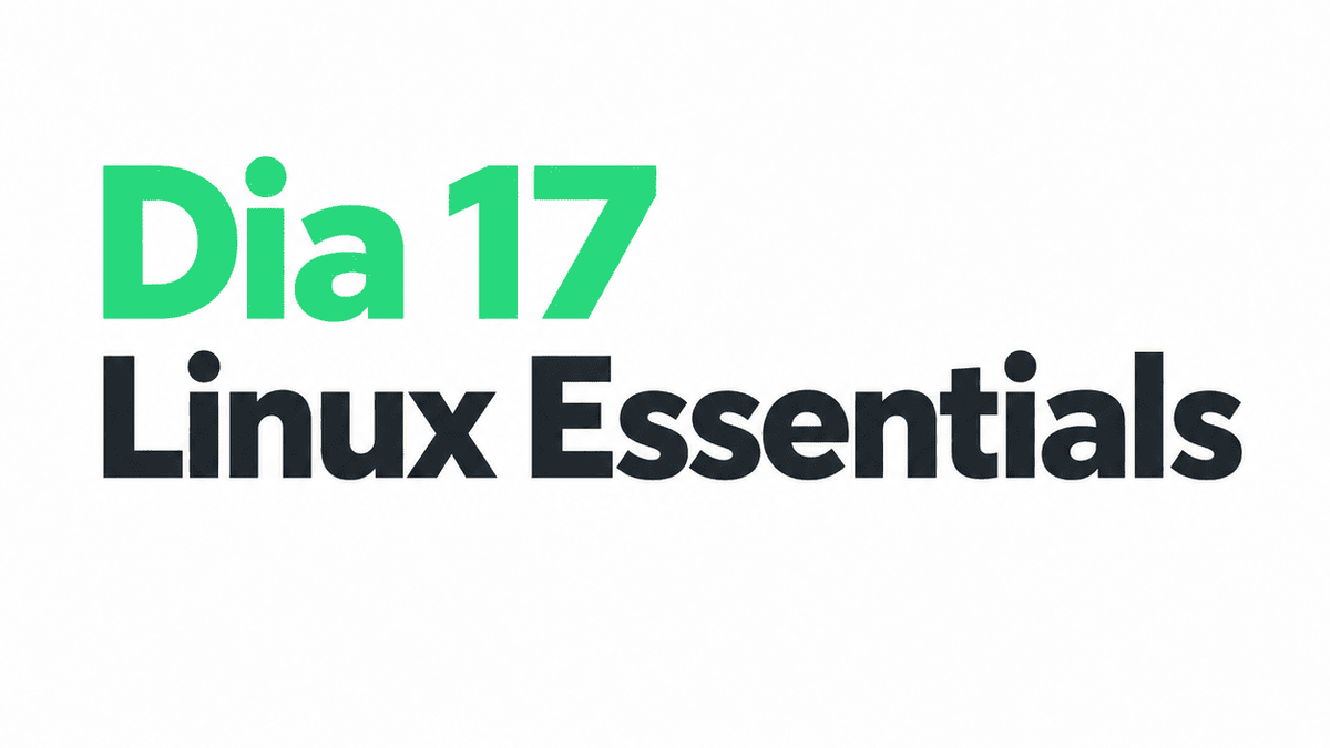 Capa do artigo Dia 17/30 — Loops for + Revisão do Poder da Linha de Comando